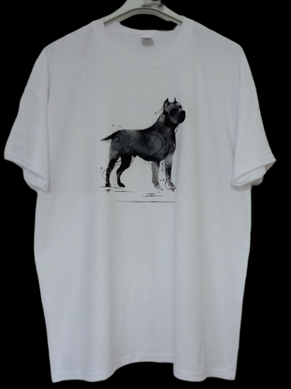 Obrazek Koszulka confident amstaff